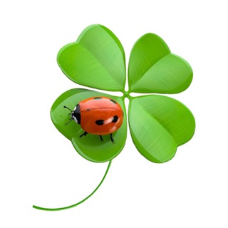 Таро и Жизнь с Анжеликой 🍀 🍀 <i class="emoji" style="bac
