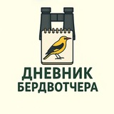Дневник бердвотчера