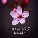 مِوَاسَـــــاةْ سَــمْعيَّـــــة | قُـــــرآنٍ ♥️