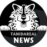 TaniDaReal - Art & News Channel