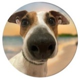 @DIM_KA_MED