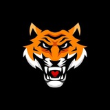 Binomo Bitcoin Signals Tips