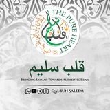 قلب سليم