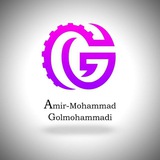 دکتر امیرمحمد گلمحمدی