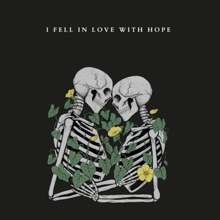 ترجمه فارسی I fell in love with hope