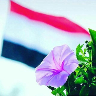 مجموعة،طلاب،علم،قنات،مواعظ،زومل،شلات،مغرد،صعدة،كتب،صور،جديدة،حلات،ارقا،وتسب،طوفان،اخر،مغارد،نكت،رازحية،برامج،هكر,2025