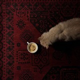 أُوشَـاۦ️ 𓂆