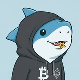 배당상어의 비트+미국주식 투자