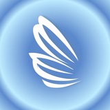 Fly Yoga School