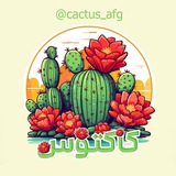 کاکتوس 𝒄𝒂𝒄𝒕𝒖𝒔 🌵