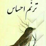ترنم احساس 🌺 🍃