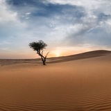 نهار