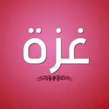 أيام غزة