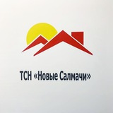 ТСН Новые Салмачи - информационный канал