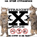 песни лил пипа | lil peep