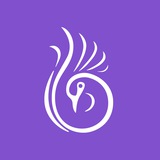 مجله لاغری برنافیت