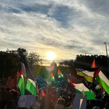فَإِنيِ قَرِيبٌ 🇵🇸 .