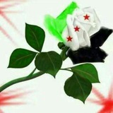 حلات واتس آب حب و حزينة