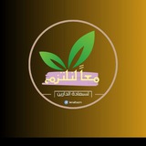 معاً لنلتزم ️