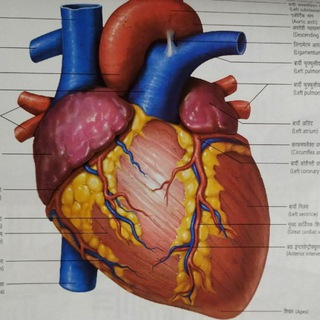 Second grade science शिक्षक भर्ती