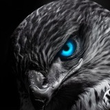 كركوك ستور : KRKOK STOR