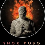 SHOX PUBGM