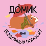 ДОМИК для бездомных поросят