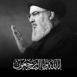 السيد حسن نصر الله