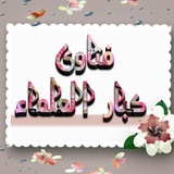 💎فتاوى كبار العلماء💎