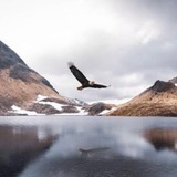 An Amazing World