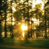 جلُّنار.