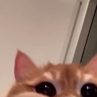 مساعدات ثاني ثانوي 🐈 🤍 <i class="emoji" style="backgroun
