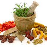 طبّی پوشیدہ خزانے