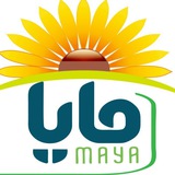 درمانگری بدن