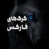 💰 آموزش درآمد دلاری گرگ های فارکسی 💰