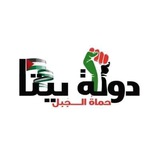 دولة بيتا