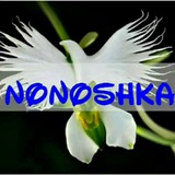 🌺 @No_Noshka 🌺
