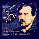 سیدجواد میری مینق