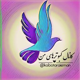 کبوترهای من🌹