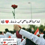 🎼♥️...شباب جامعي 
