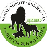 Зооцентр Дино 💚