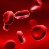 Rh Negative Bloodline Truths
