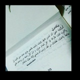 إيكادولي.