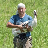 Антон Сасин 🐦 Птицы Амура 🐦