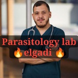 متحف البارا ♥️ M.elgadi ♥️