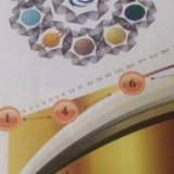 Grade 11 Maths ( New Course)