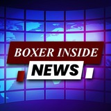 Boxerinside
