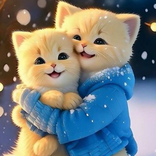 أناشيد دف للأفراح بدون موسيقى 💝
