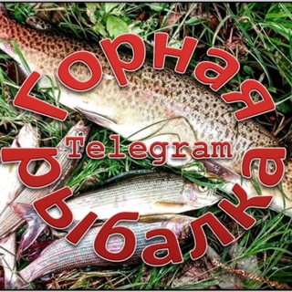 ГОРНАЯ РЫБАЛКА 🎣 🐟