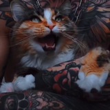 ohh, tattoo